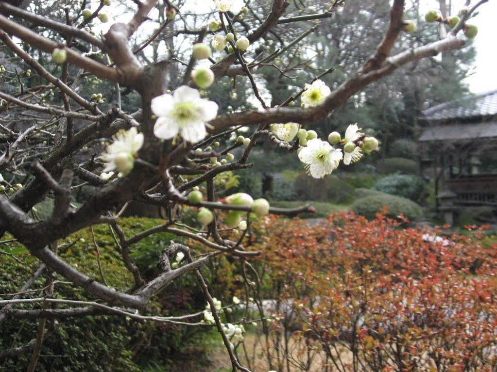 Gosho Nishi Kyoto Heian Hotel Extérieur photo